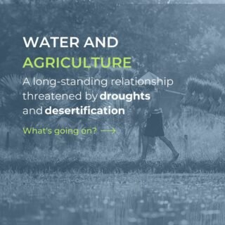 June 17th is the @unitednations World Day to Combat #Desertification and #Drought.

What does it mean for #agriculture? 🌱

.

#water #waterscarcity #waterstress #desert #food #agricultureworldwide #crops #saveagriculture #cultivation #savefood #hunger #climate #climateaction #globalwarming #planet #impact #sustainabledevelopmentgoals #sdgs #sdg6 #unitednations #sustainability #sustainable #future #aquaseek